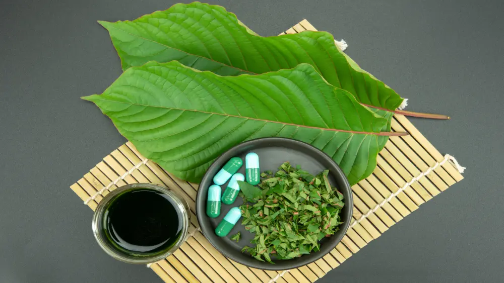 Les diff&eacute;rentes vari&eacute;t&eacute;s de kratom &agrave; nervures rouges, blanches et vertes