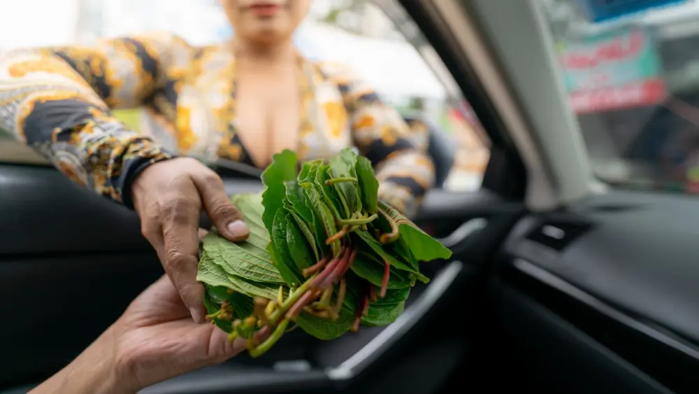 une femme vend des feuilles de kratom &agrave; un automobiliste