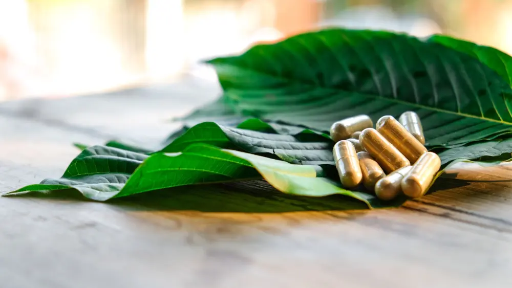 Feuilles de kratom sur une table avec des capsules de kratom