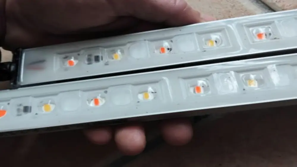 Bandes LED utilisées pour les clones et semis de cannabis offrant une lumière à spectre complet avec faible chaleur
