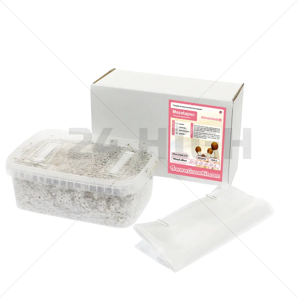 Mazatapec Kit de culture All In One