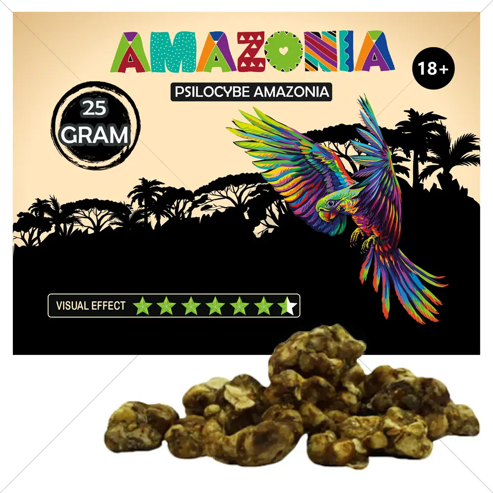 Truffes Psilocybe Amazonia