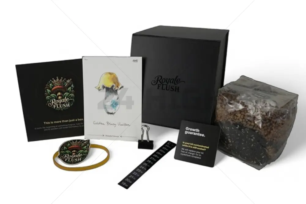 Kit de culture Royale Flush Golden Bluey Vuitton