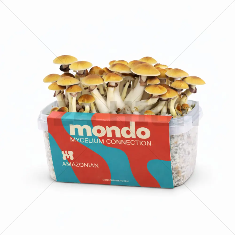 Kit de Culture Mondo Amazonian