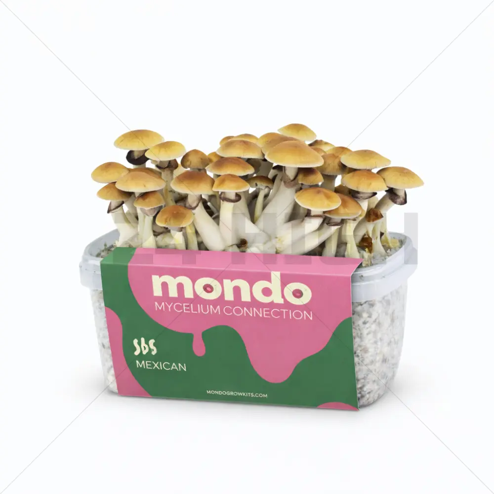 Kit de Culture Mondo Mexicana
