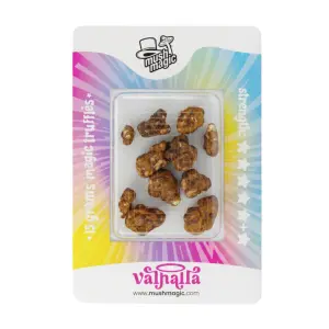 Truffes Psilocybe Valhalla 