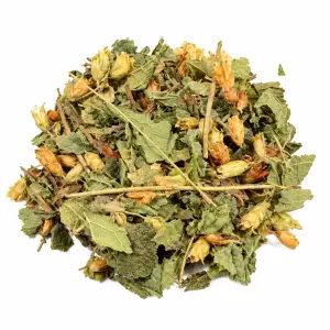 Dream Herbs (Calea zacatechichi) Hachée – 50 grammes