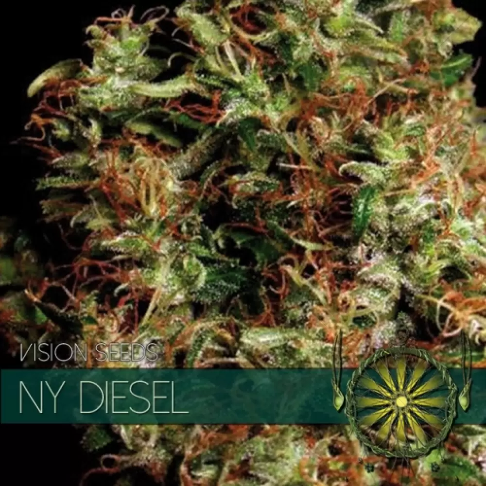 NY Diesel (Vision Seeds)