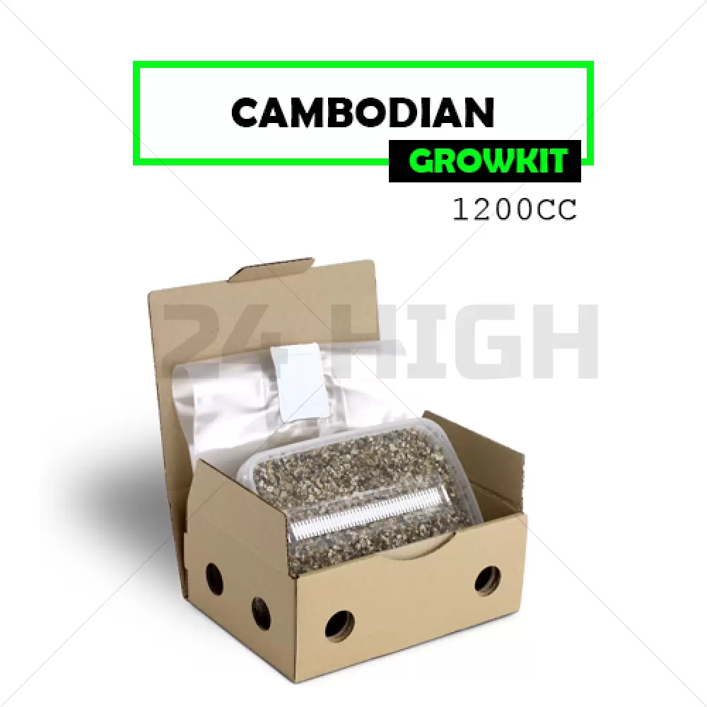 Kit de Culture Mondo Cambodian