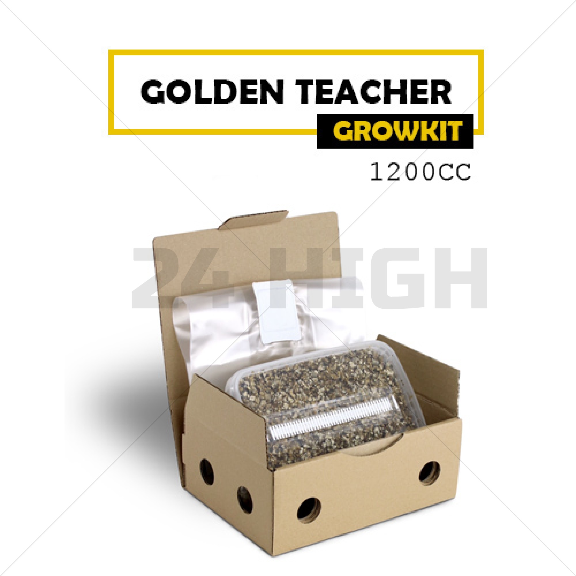 Kit de Culture Mondo Golden Teacher