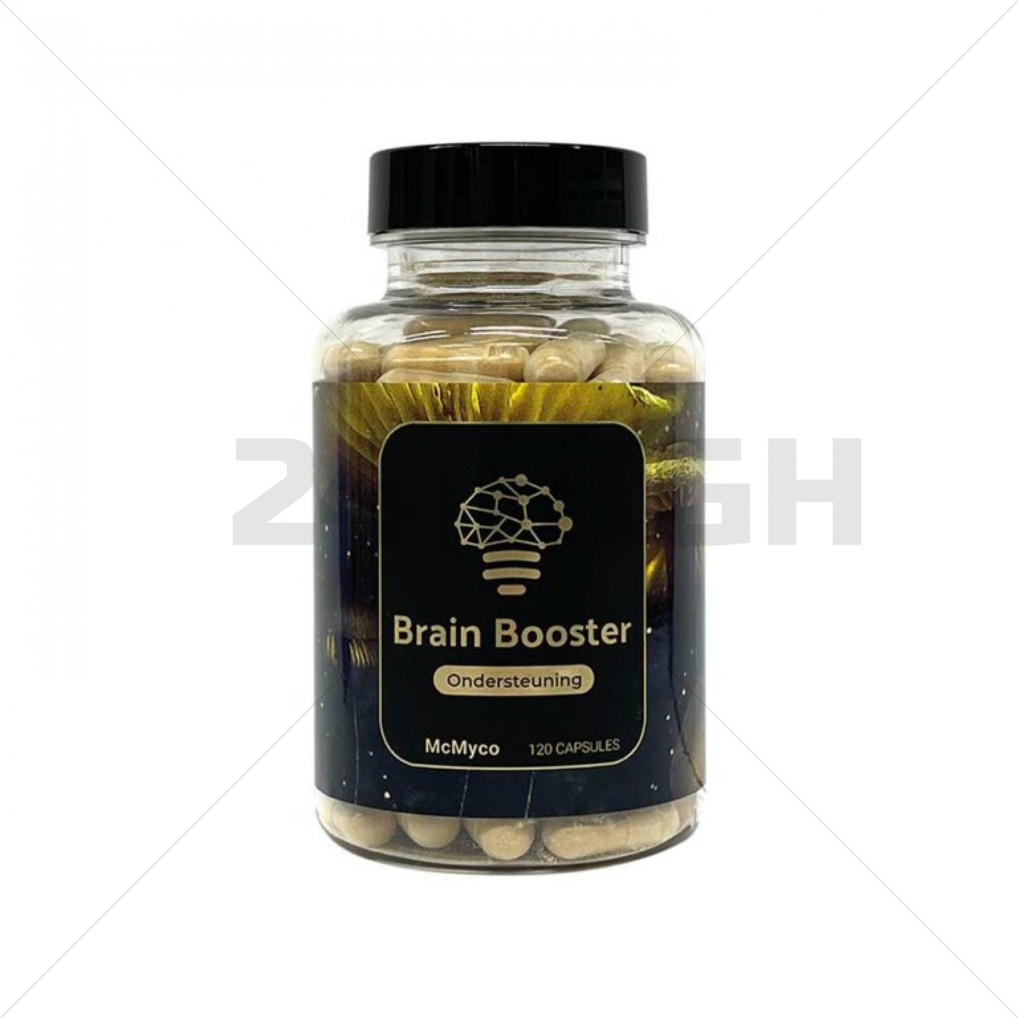 Brain (cerveau) Booster - Extrait de champignons