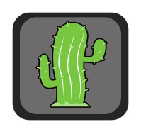 Cactus à mescaline